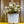 Load image into Gallery viewer, Wine & Spirits Weigela - Weigela - Shrubs