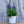 Load image into Gallery viewer, Wizard of Ahhs Veronica