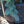 Load image into Gallery viewer, Zafiro Colorado Spruce