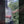 Load and play video in Gallery viewer, Samaritan Chinese Dogwood