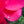 Load image into Gallery viewer, Cyclamen - Other Houseplants - Houseplants