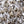 Load image into Gallery viewer, Merrill Magnolia - Magnolia - Flowering Trees