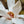 Load image into Gallery viewer, Merrill Magnolia - Magnolia - Flowering Trees