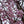 Load image into Gallery viewer, Autumnalis Higan Cherry - Cherry - Flowering Trees