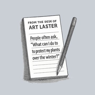 From The Desk of Art Laster - November 2025