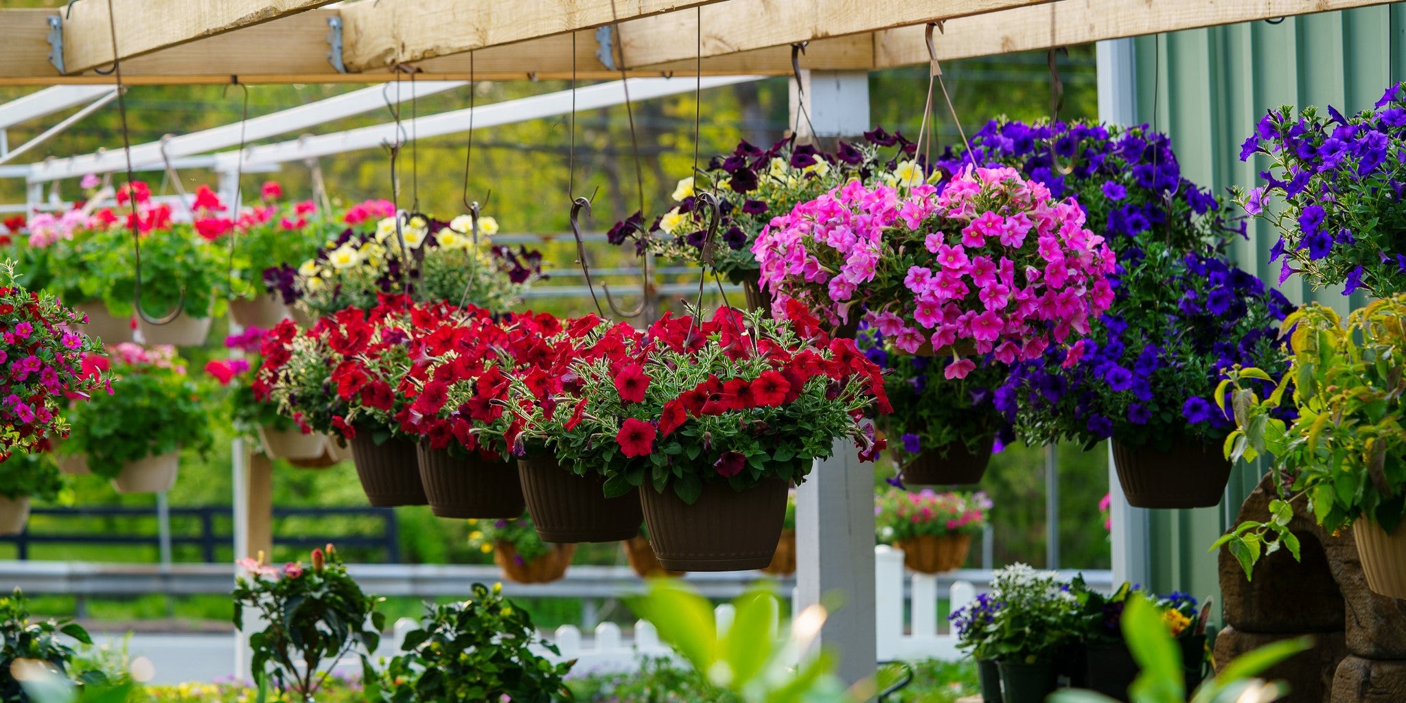 Springtime in Amish Country | Visit Amish Country Amish nursery near me
