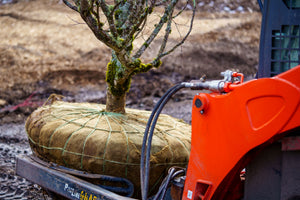 How Plant Brokers Help Small Nurseries Thrive