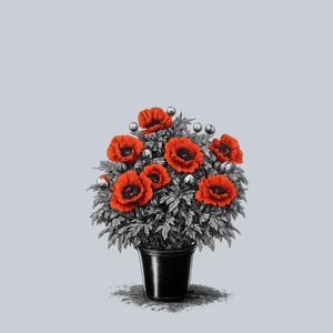 Allegro Oriental Poppy