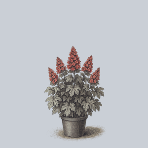 Amethyst Oakleaf Hydrangea