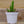 Load image into Gallery viewer, 3.5&quot; Assorted Cacti - Cactus - Houseplants
