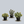 Load image into Gallery viewer, 3.5 Inch Assorted Cacti
