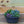 Load image into Gallery viewer, 4.5&quot; Assorted Succulents
