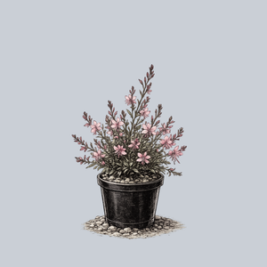 Ballerina Rose Wand Flower