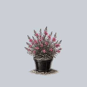 Belleza Dark Pink Wand Flower