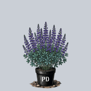 Blueberry Sundae False Indigo