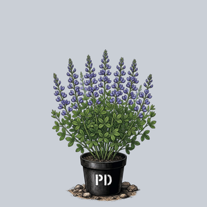 Blue Bubbly False Indigo