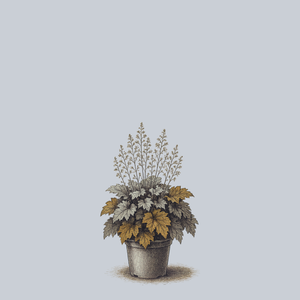 Bronze Wave Coral Bells