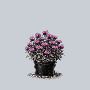 Bubblegum Blast Bee Balm