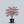 Load image into Gallery viewer, Cherokee Brave Dogwood
