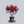 Load image into Gallery viewer, Cherokee Chief Dogwood
