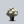 Load image into Gallery viewer, Chionoides Rhododendron
