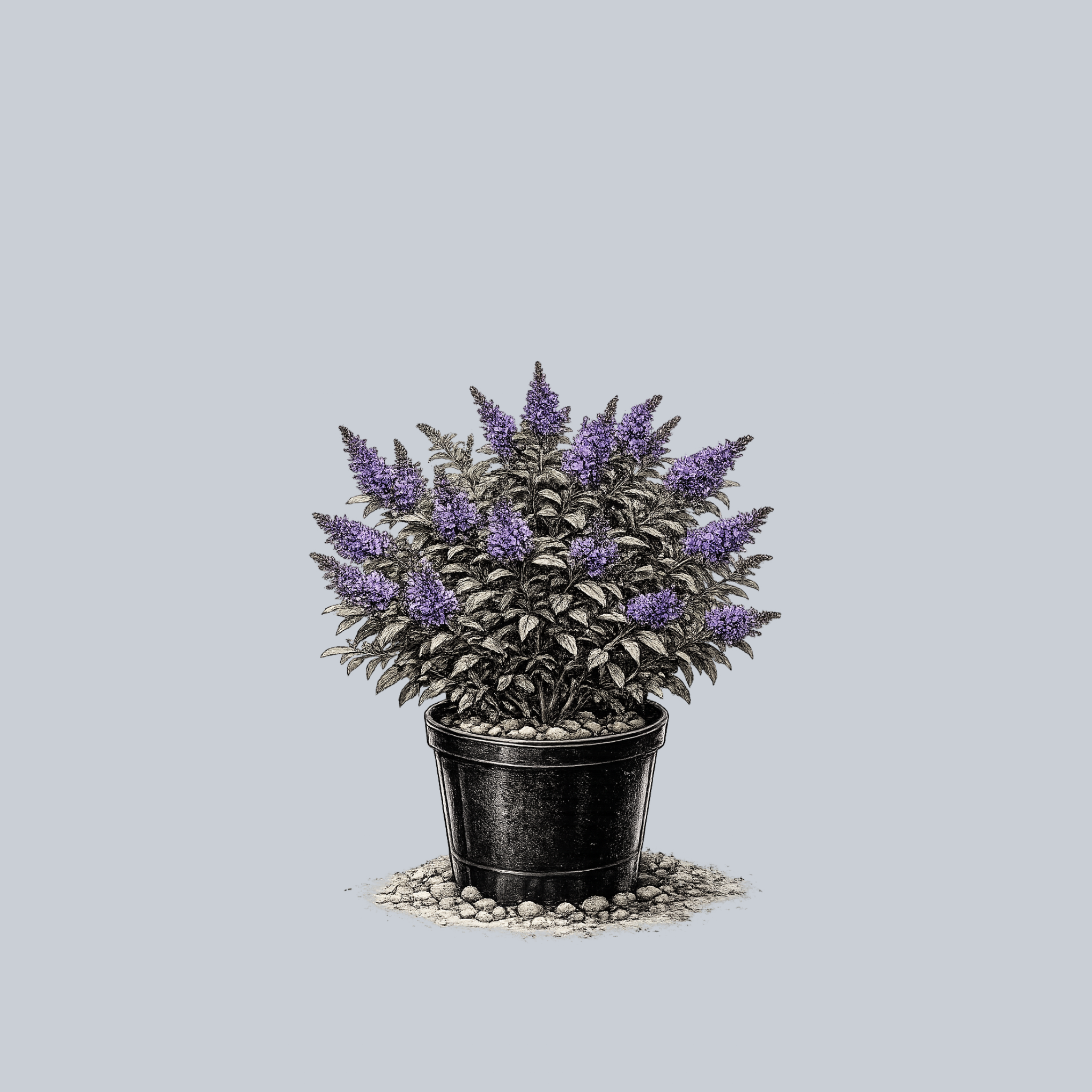 greenhouse plant pots Greenhouse Gang (White Pots) | Exclusive Bundle main image 1