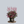 Load image into Gallery viewer, Color Flash Astilbe

