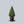 Load image into Gallery viewer, Cone Green Mountain Boxwood
