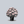 Load image into Gallery viewer, Crete Rhododendron
