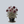 Load image into Gallery viewer, Dahlia

