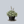 Load image into Gallery viewer, Dale's Strain Coral Bells
