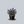 Load image into Gallery viewer, Dark Knight Bluebeard
