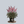 Load image into Gallery viewer, Delft Lace Astilbe
