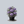 Load image into Gallery viewer, Diamantina Clematis
