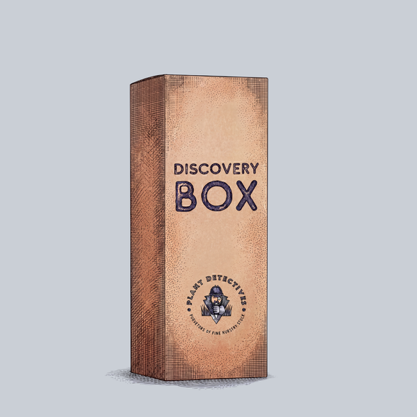 Plant Detectives Discovery Box