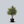 Load image into Gallery viewer, Dura-Heat River Birch
