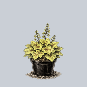 Electric Lime Coral Bells