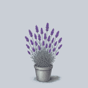 Essence Purple English Lavender