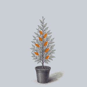 Firespire American Hornbeam