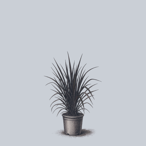 First Knight Fountain Grass