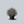 Load image into Gallery viewer, Flip Side Chaste Tree
