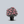 Load image into Gallery viewer, Flower Carpet Pink Supreme Rose
