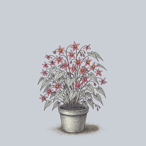 Galadriel Barrenwort