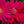 Load image into Gallery viewer, Gerbera Daisies
