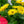 Load image into Gallery viewer, Gerbera Daisies
