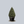 Load image into Gallery viewer, Hedging Green Mountain Boxwood

