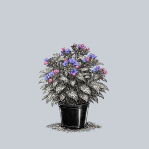 High Contrast Lungwort