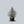 Load image into Gallery viewer, Horstmann Blue Atlas Cedar
