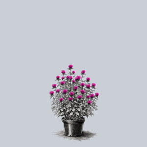 Judith's Fancy Fuchsia Bee Balm