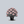Load image into Gallery viewer, Kalinka Rhododendron
